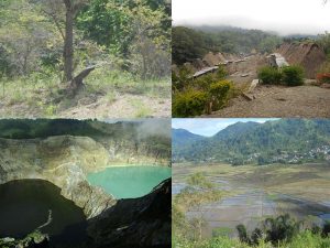 Paket wisata Flores Komodo