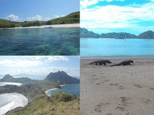 Wisata pulau Komodo dan Flores