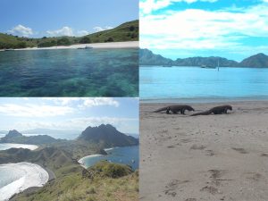 Wisata pulau Komodo dan Flores