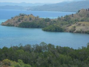 Kondisi alam pulau Flores dan Komodo