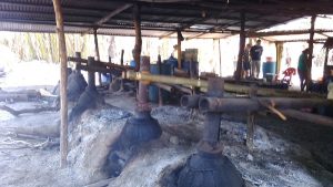 Tur pulau Flores Komodo