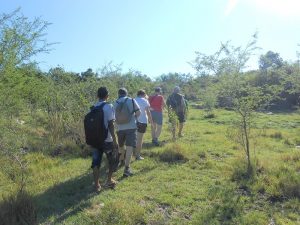 Wisata Komodo dan Padar