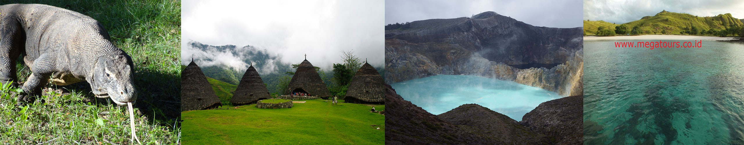 Wisata pulau Flores Komodo