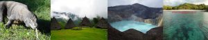 Paket wisata Flores Komodo