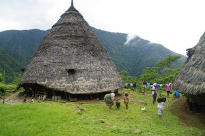 Tour Komodo Wae Rebo