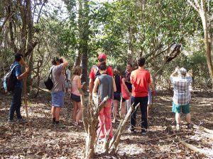 Kontak Mega Wisata Komodo