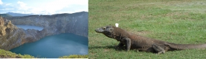 Paket wisata Flores Komodo