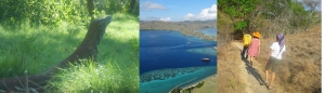 Taman Nasional Komodo