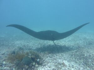 Trip ke pulau Komodo